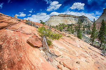 Image showing Zion Canyon National Park Utah