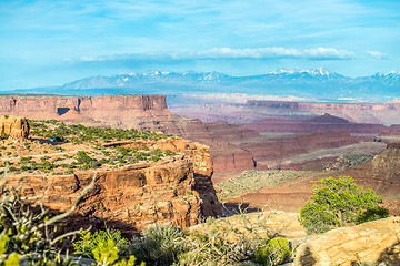 Image showing Canyonlands National park Utah