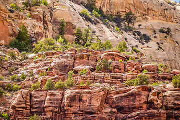 Image showing  views of Canyonlands National Park