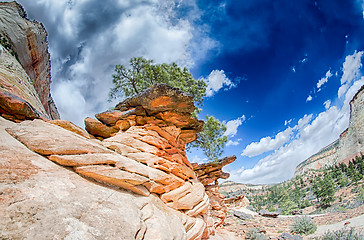 Image showing Zion Canyon National Park Utah