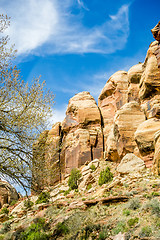 Image showing  views of Canyonlands National Park