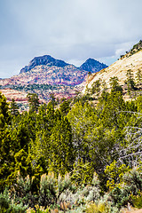 Image showing Zion Canyon National Park Utah