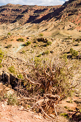 Image showing Arches National Park  Moab  Utah  USA