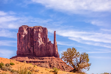 Image showing A tree and a butte in Monument Valley