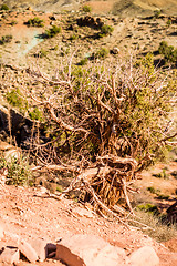 Image showing Arches National Park  Moab  Utah  USA