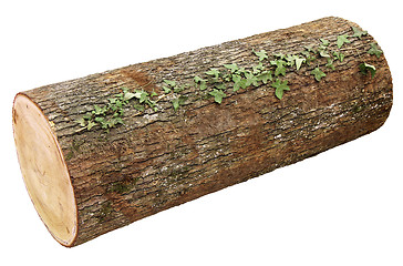 Image showing Wooden log 