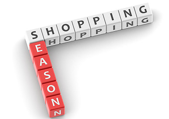 Image showing Shopping season
