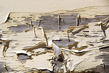 Image showing Old wood background