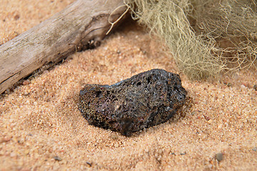 Image showing Lava on beach