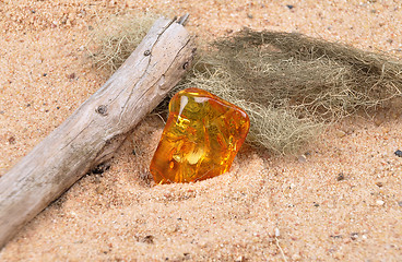 Image showing Amber on beach