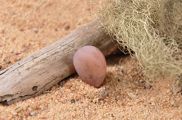 Image showing Rose quartz on beach