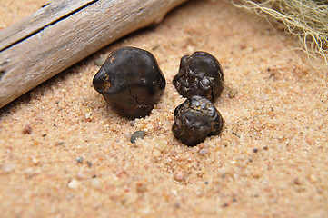 Image showing Tektite on beach