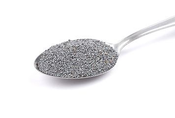 Image showing Poppy seeds on spoon