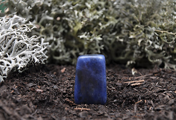 Image showing Sodalite on forest floor