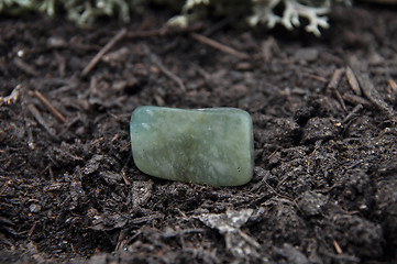 Image showing Moss agate on forest floor