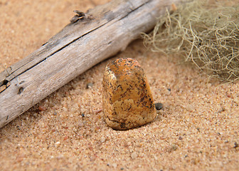 Image showing Jasper on beach