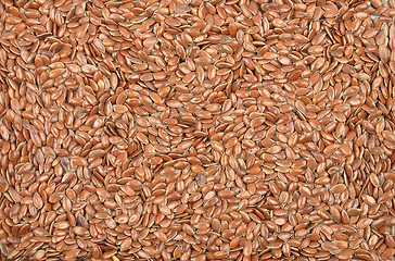 Image showing Flax seed 