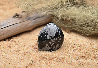 Image showing Snowflake obsidian on beach