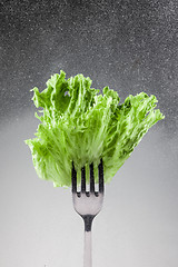 Image showing Green lettuce leaves on a fork 