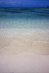 Image showing beach  in  mauritius