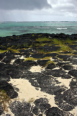 Image showing beach rock and stone in belle mare mauritius