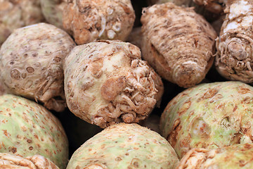 Image showing celery root background