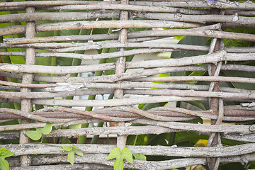 Image showing Abstract of Woven Branch Decorative Thatch Work Fence