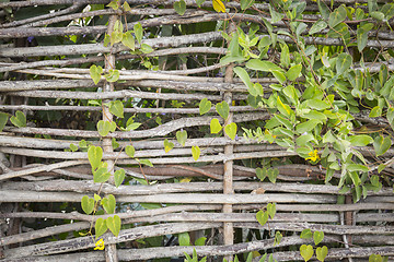 Image showing Abstract of Woven Branch Decorative Thatch Work Fence