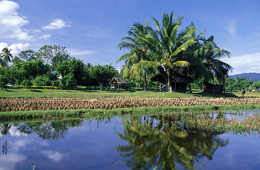 Image showing ASIA MALAYSIA LANGKAWI