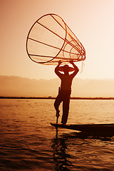 Image showing Local Fisherman Placing a Fish Trap in Inle Lake, Myanmar