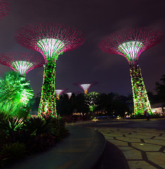 Image showing Colorful Lights from Towers of Gardens by the Bay in Singapore