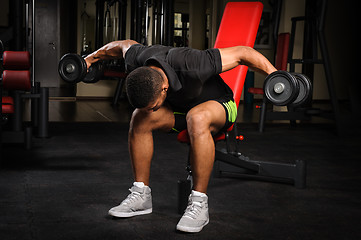 Image showing Young man doing Seated Bent Over Dumbbell Reverse Fly workout in gym