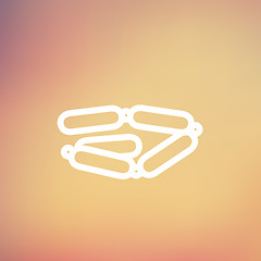 Image showing Chorizo chain thin line icon