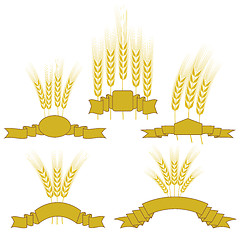 Image showing Wheats