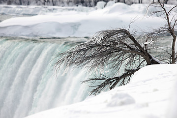 Image showing Winter Niagara Falls