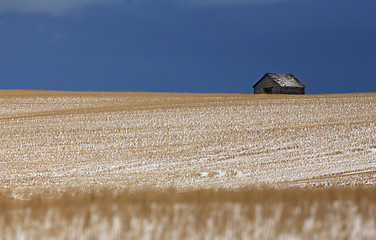 Image showing Prairie Landscape in winter