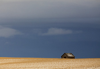 Image showing Prairie Landscape in winter