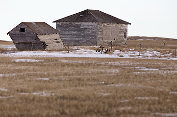 Image showing Prairie Landscape in winter