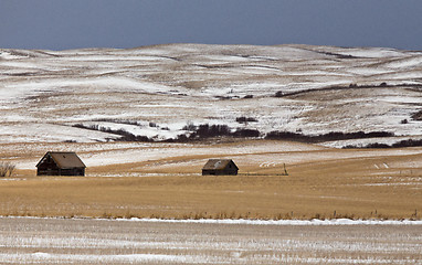 Image showing Prairie Landscape in winter