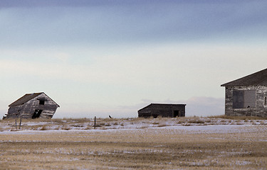 Image showing Prairie Landscape in winter