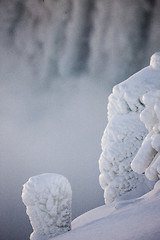 Image showing Winter Niagara Falls