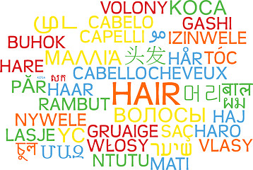 Image showing Hair multilanguage wordcloud background concept