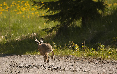 Image showing running away