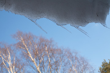 Image showing spring icicles