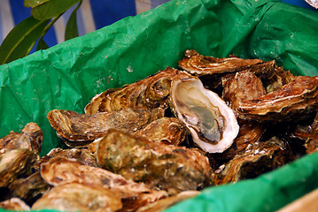 Image showing Oysters