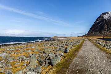 Image showing coastlines