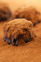 Image showing Chocolate truffles