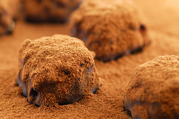 Image showing Chocolate truffles