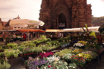 Image showing EUROPE GERMANY BLACKFOREST 