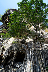 Image showing THAILAND KRABI